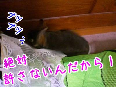 11083007.JPG