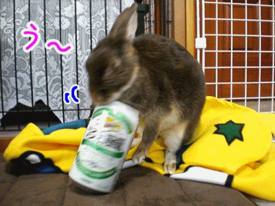 12013006.gif