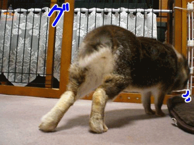 12030502.gif