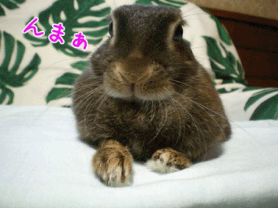 12080402.gif