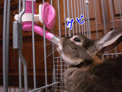 12080701.gif