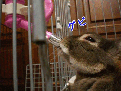 12080702.gif